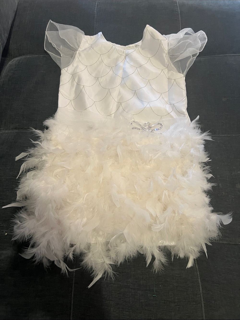 Pottery Barn Kids White Feather Tutu Dress with Organza Sleeves